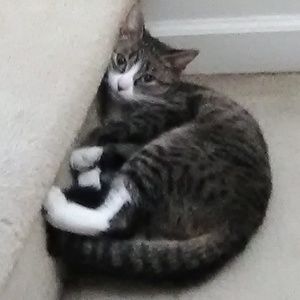 Meet your Posher, Robert